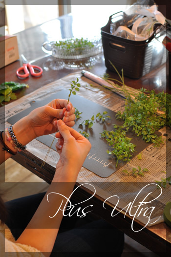 プリザ　プリザーブドフラワー　ウェディングブーケ　ラウンド　可愛い 豪華 上品 