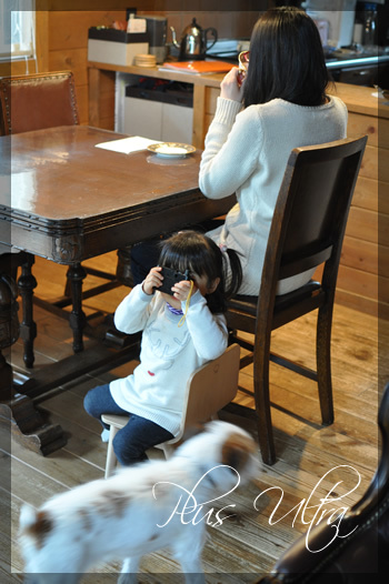 プリザ　プリザーブドフラワー　ウェディングブーケ　ラウンド　可愛い 豪華 上品 