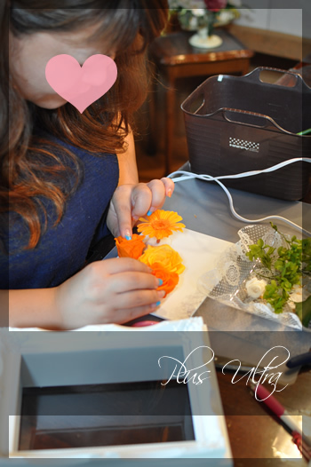 プリザ　プリザーブドフラワー 額　フレーム