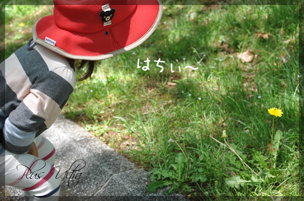 プラスアルトラ　レッスン